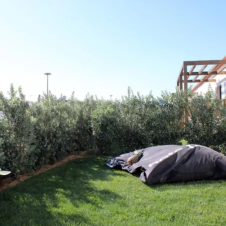 Casa Amoreira 펜션 카하파테이라